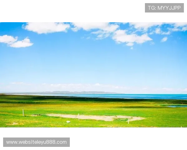 乐鱼app官方手机版多平台同步使用无缝连接体验