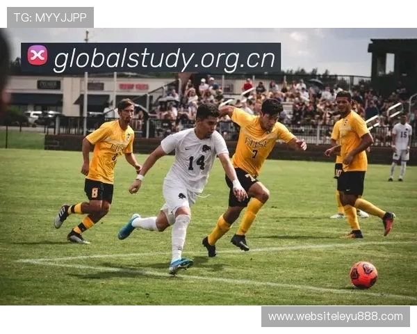 乐鱼app是干嘛的,揭示这款应用在体育赛事直播中的作用与优势 乐鱼app是干嘛的,揭示这款应用在体育赛事直播中的作用与优势