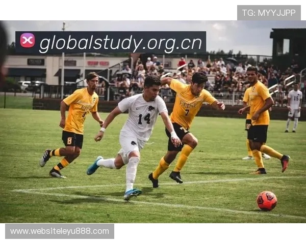 乐鱼体育入口全天候服务，随时随地享受体育娱乐盛宴