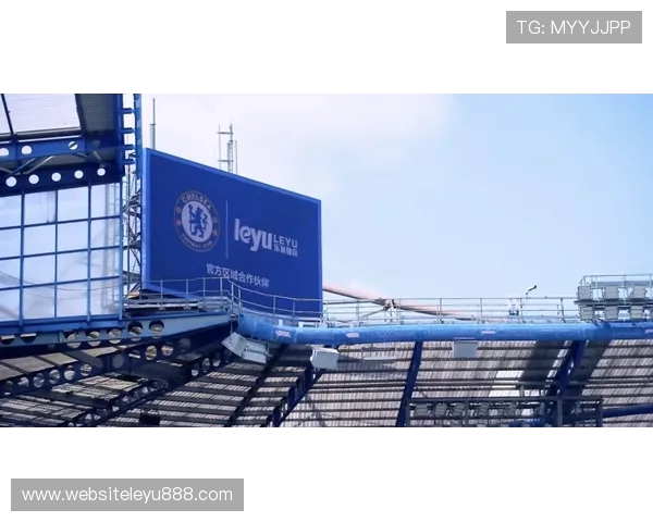 乐鱼体育正规网址未来发展趋势，行业动态与平台升级计划全面解析