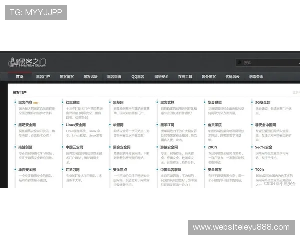 乐鱼入口登录网址,官方权威渠道确保你的账号安全无忧