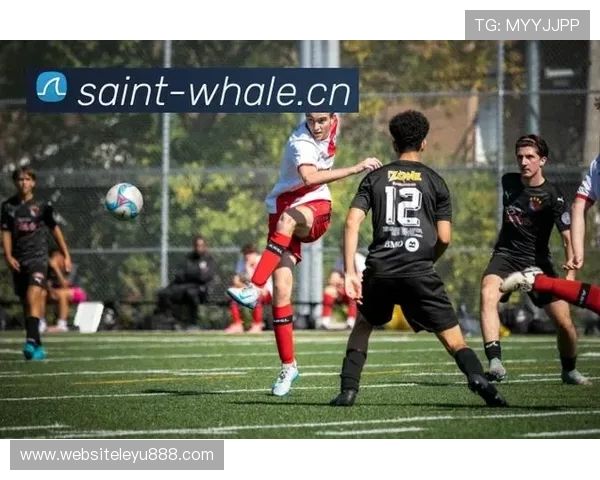 乐鱼体育网站最新赛事直播平台全面解析,带你畅享精彩体育盛宴