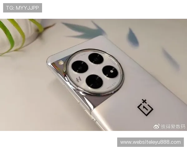 乐鱼最新版官方版用户体验优化措施全面介绍，提升您的互动体验