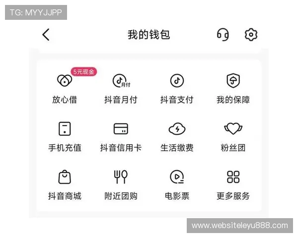 乐鱼注册网页版支付功能介绍，为用户提供便捷的线上支付体验