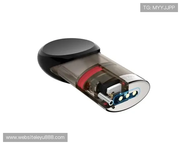 乐鱼电子股份有限公司在智能硬件领域的创新产品介绍及市场应用前景展望 乐鱼电子股份有限公司在智能硬件领域的创新产品介绍及市场应用前景展望