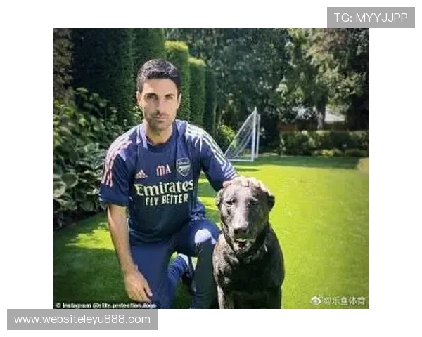 乐鱼体育网址登录线路稳定性提升指南，帮助用户轻松应对登录困难问题