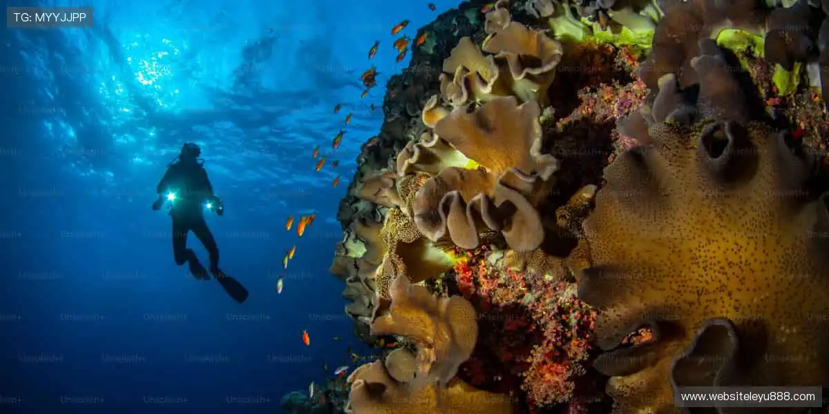 一站式麻将捕鱼平台：国粹射击胡牌爆金，高清双享升级